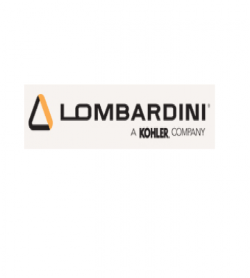 GENERADOR ELECTRICO LOMBARDINI 10 KVA 380 V. DIESEL