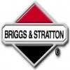 Briggs & Stratton PROCIM S.P. A.